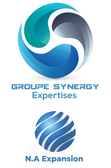 Groupe synergy expertise en surveillance fissures